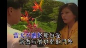 不应再犹豫(KTV版)