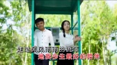 你是我今生最美的情缘(KTV版)