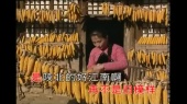 南泥湾(KTV版)