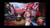 醉拳(2022湖南卫视元宵喜乐会)