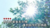 你的心房太拥挤(KTV版)