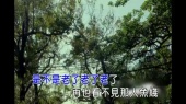 是不是老了(伴奏版)