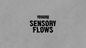 艺声 正规1辑《Sensory Flows》Highlight Medley