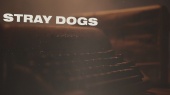 Stray Dogs(Lyric Video)