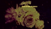 This Is How It Feels(Lyric Video)