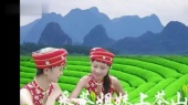 采茶姐妹上茶山(伴奏版)