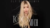 Too Much(Ely Oaks Remix - Official Audio)