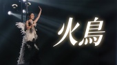 火鸟(2025 MY TREE OF LIVE世界巡回演唱会广州站现场)